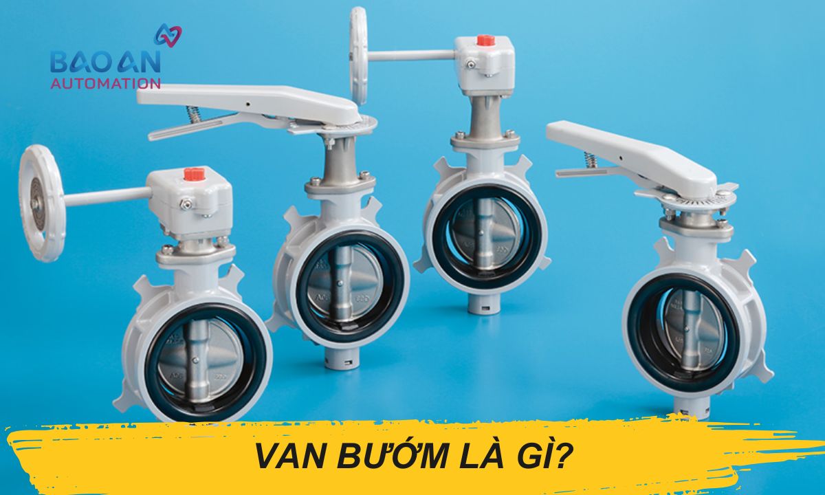 Van bướm là gì?